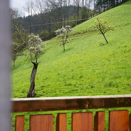 Buehlbauernhof Villa Bad Peterstal-Griesbach Eksteriør billede