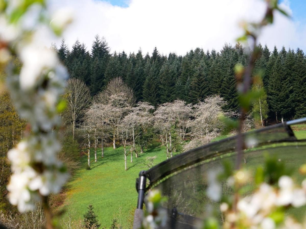 Bühlbauernhof Bauernhof