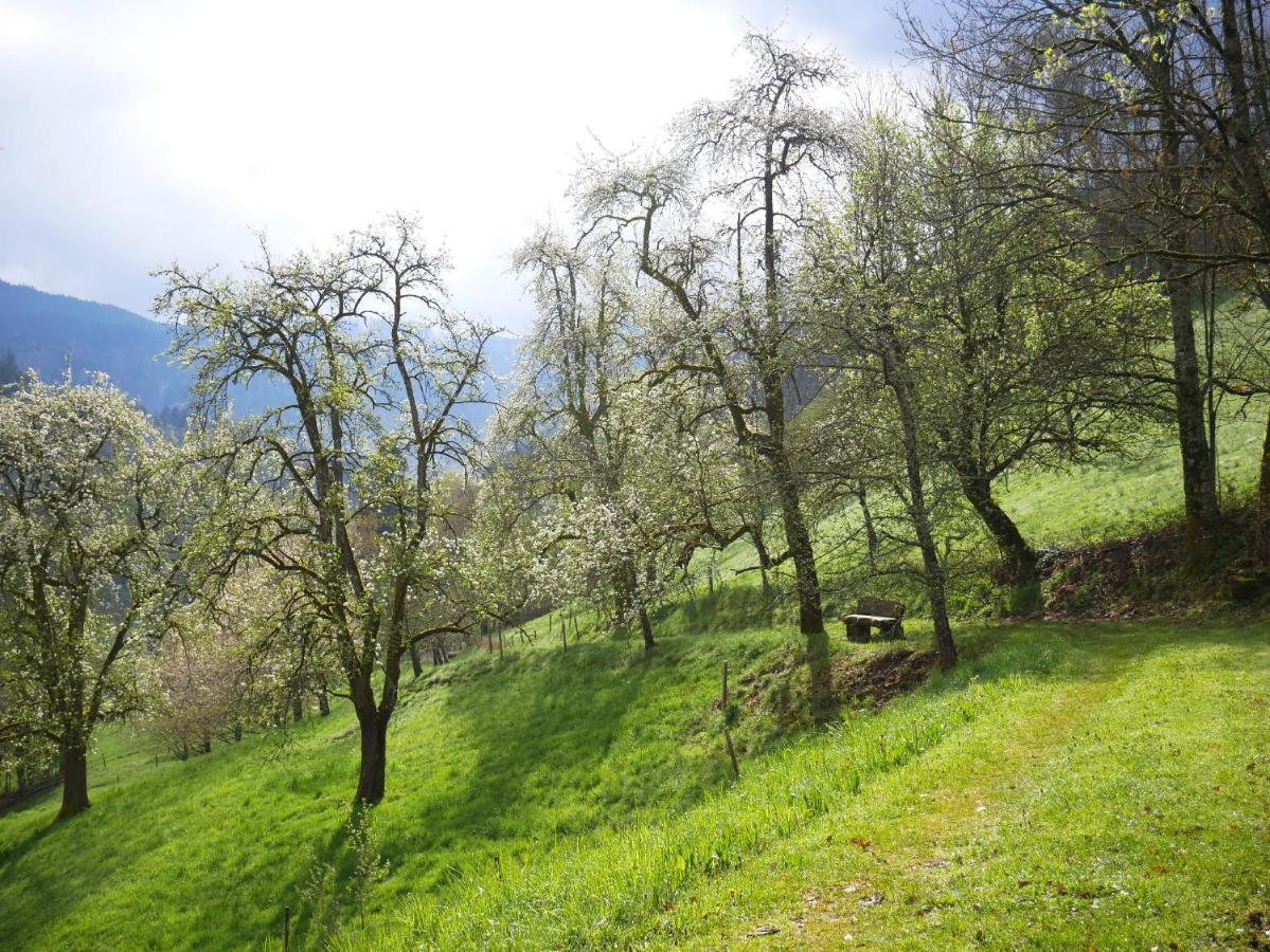 Bauernhof Bühlbauernhof Bad Peterstal-Griesbach